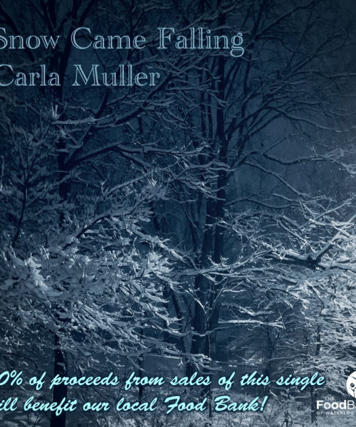 Canadian Folk Artist Carla Muller Crystallizes The Meditative Beauty Of A Snowstorm In “Snow Came Falling”