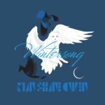 Ryan Shane Owen Invites You On An Electro-Classical-Folk Odyssey With His New ‘Wintersong’ Album