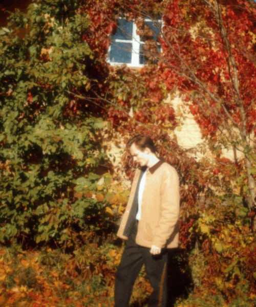 The Indigo Echoes: From Småland’s Forests to Europe’s Festival Stages