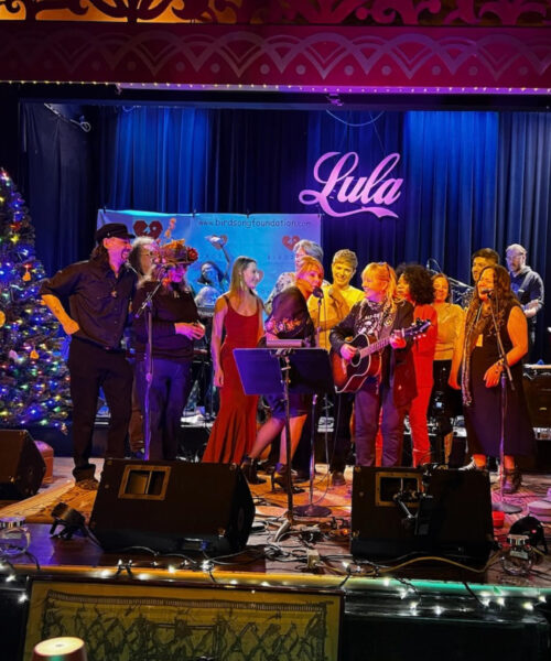 Birdsong Foundation Soars on The Theme of Bringing You A Little Happy This Past Christmas – Lula Lounge 2025!