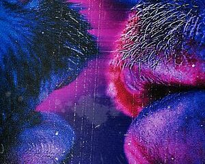 Aman Dhesi Releases Debut Album “The Restless Night”