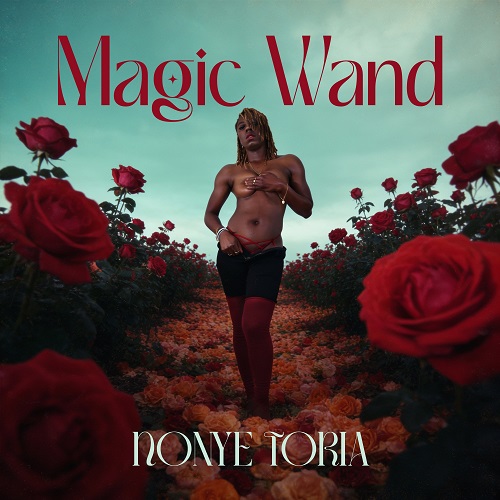 Nonye Toria Magic Wand